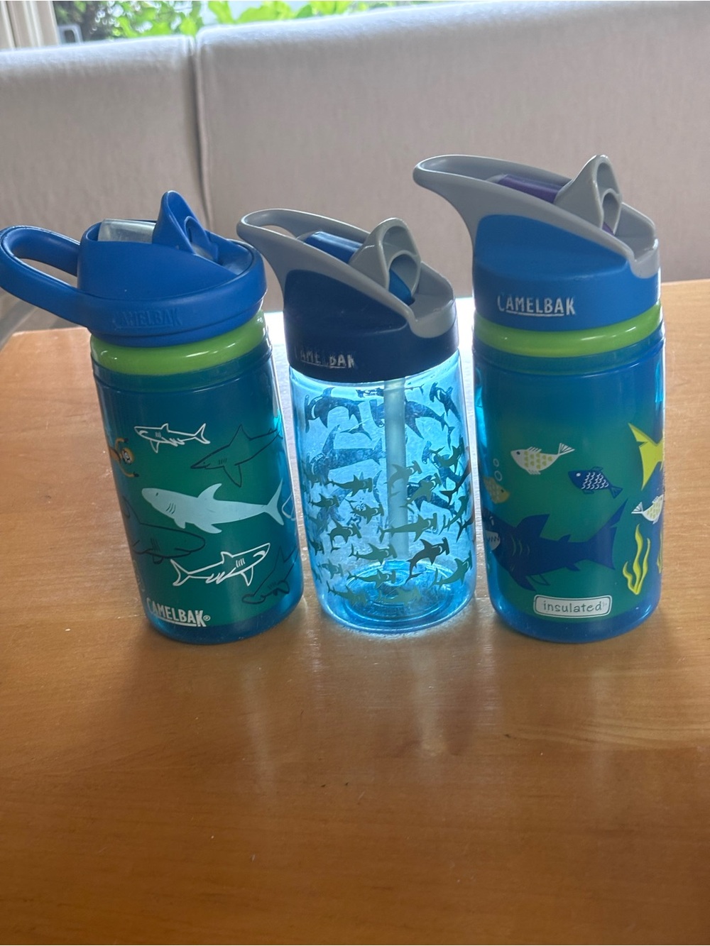 CamelBak Kids Blue and Green Shark & Ocean Water Bottles - Set of 3
